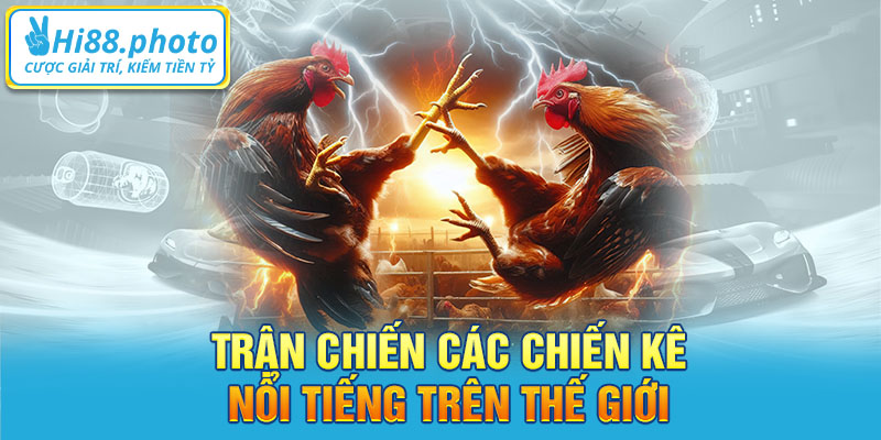 Trận chiến các chiến kê nổi tiếng trên thế giới