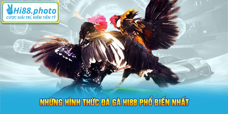 Những hình thức đá gà Hi88 phổ biến nhất