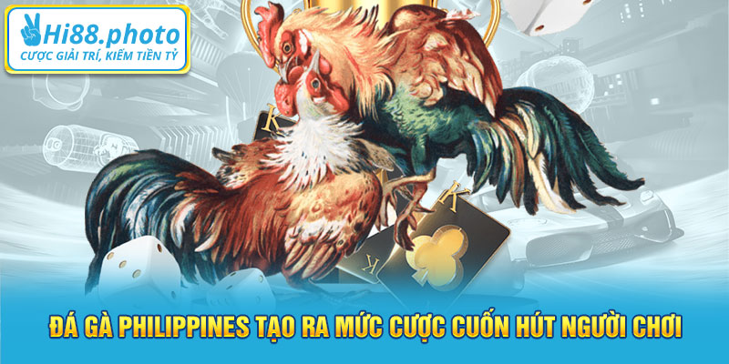 Đá gà Philippines tạo ra mức cược cuốn hút người chơi