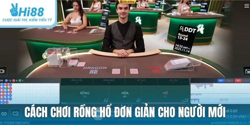 Cách chơi Rồng Hổ đơn giản cho người mới trải nghiệm