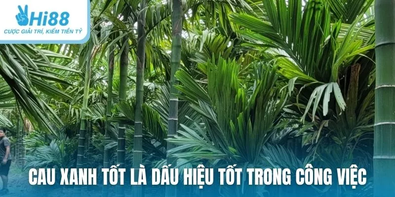 Cau xanh tốt là dấu hiệu tốt trong công việc