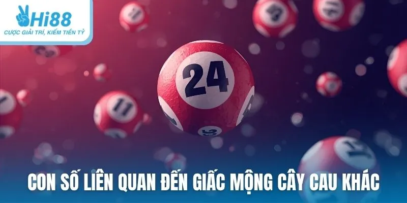 Con số liên quan đến giấc mộng cây cau khác