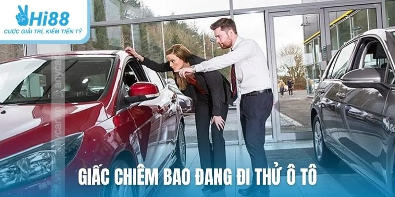 Giấc chiêm bao đang đi thử ô tô