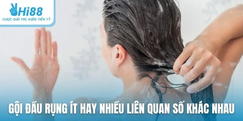 Gội đầu rụng tóc ít hay nhiều liên quan số khác nhau