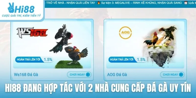 Hi88 đang hợp tác với 2 nhà cung cấp đá gà uy tín hàng đầu