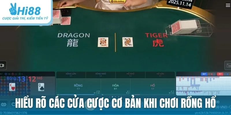 Hiểu rõ các cửa cược cơ bản khi chơi Rồng Hổ tại Hi88