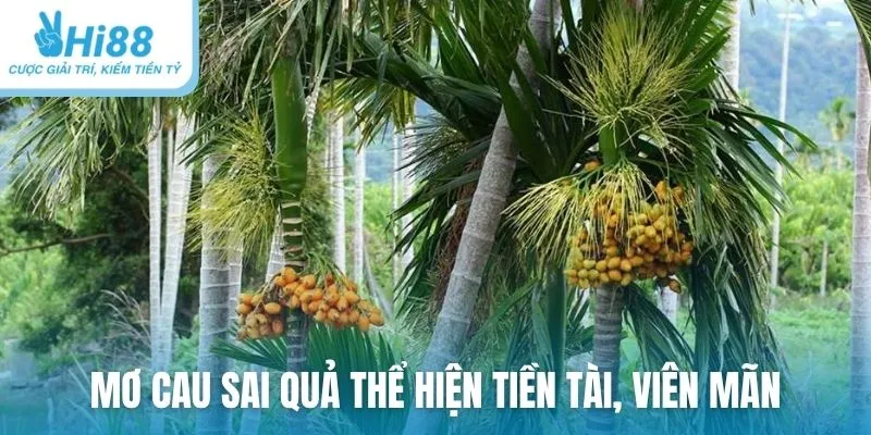 Mơ cau sai quả thể hiện tiền tài, viên mãn