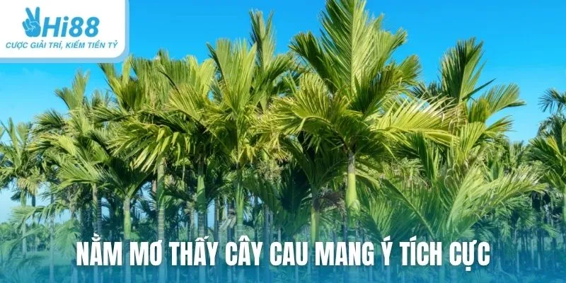 Nằm mơ thấy cây cau mang ý tích cực