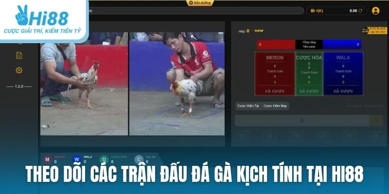 Theo dõi các trận đấu đá gà kịch tính tại nhà cái Hi88